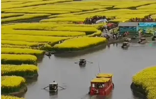 红色大地家家富打一最佳准确生肖,释义成语解释